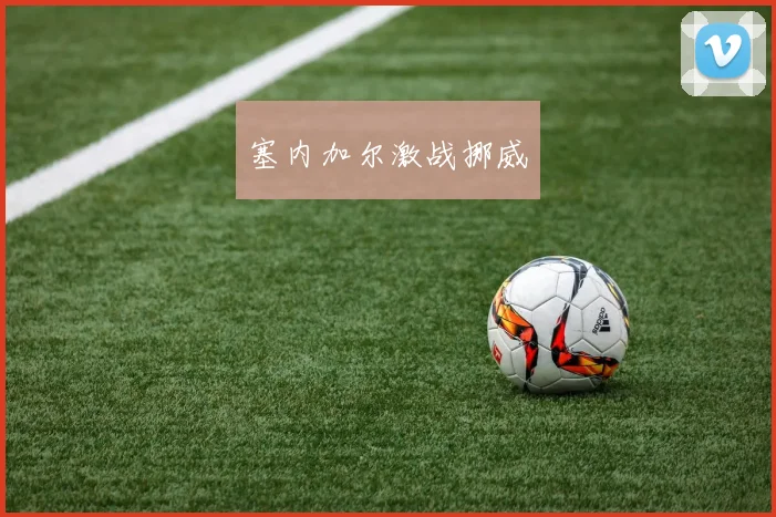 塞内加尔激战挪威