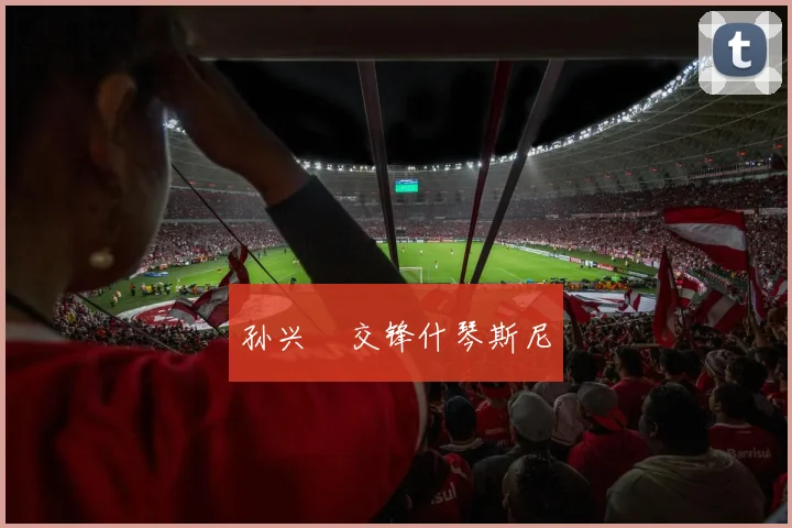 孙兴慜交锋什琴斯尼