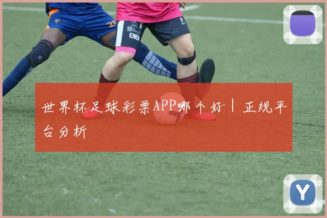 世界杯足球彩票APP哪个好｜正规平台分析