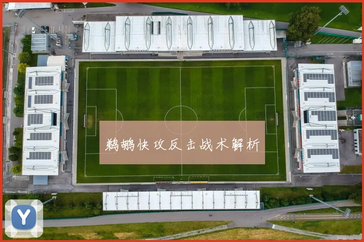鹈鹕快攻反击战术解析