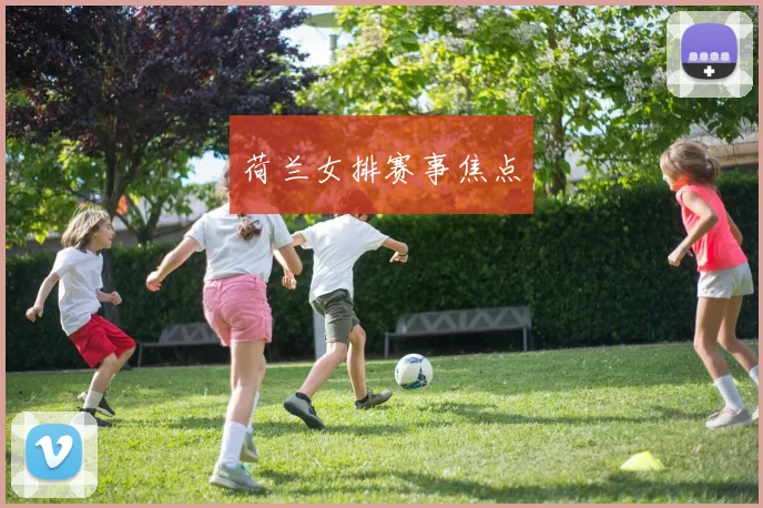 荷兰女排赛事焦点