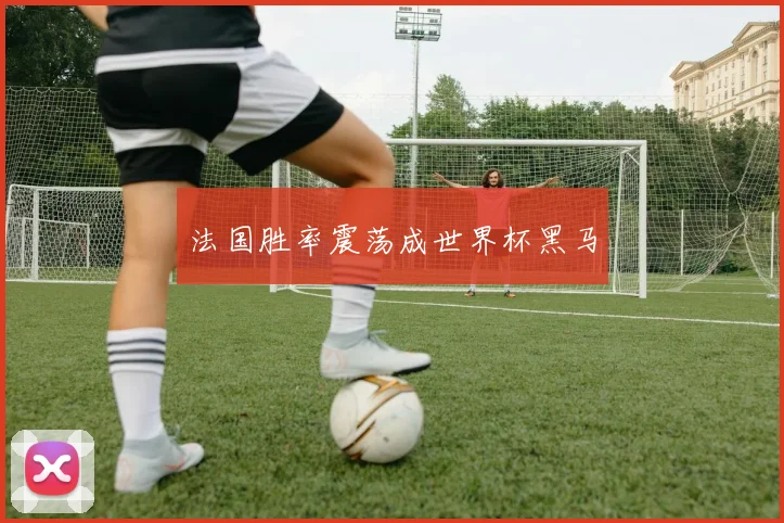 法国胜率震荡成世界杯黑马