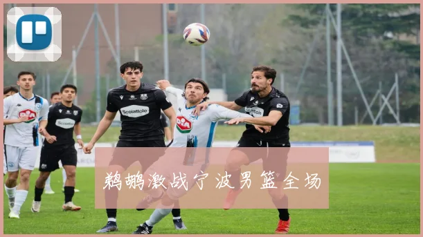 鹈鹕激战宁波男篮全场
