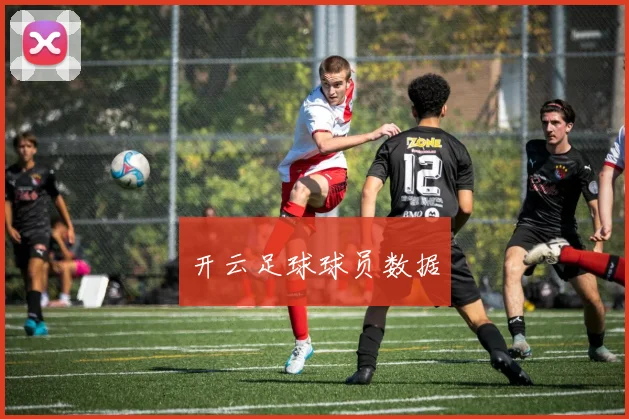 开云足球球员数据