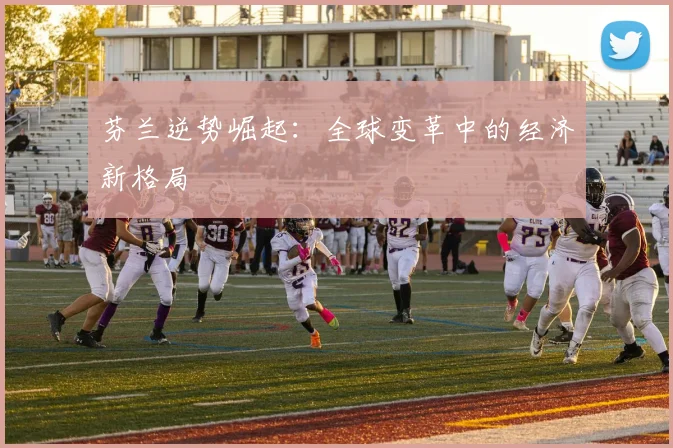 芬兰逆势崛起:全球变革中的经济新格局