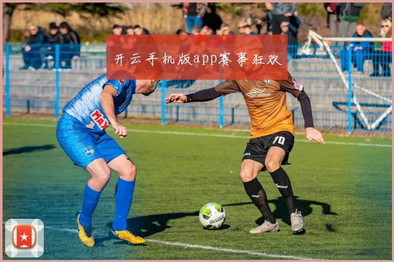 开云手机版app赛事狂欢
