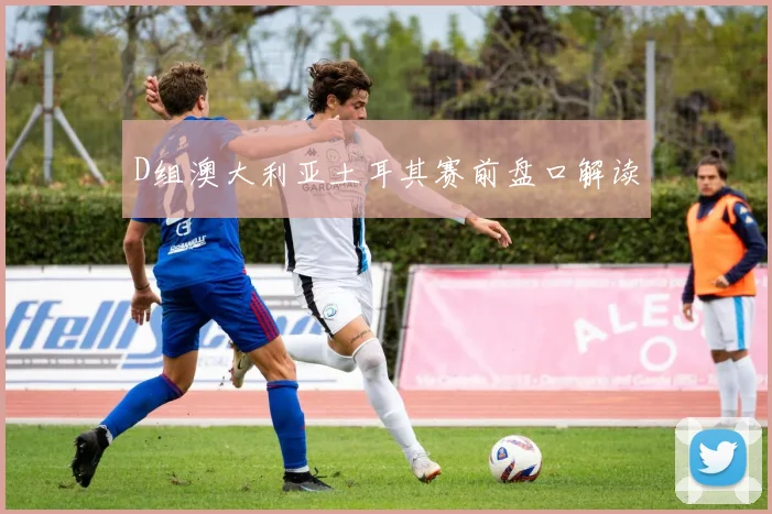 D组澳大利亚土耳其赛前盘口解读