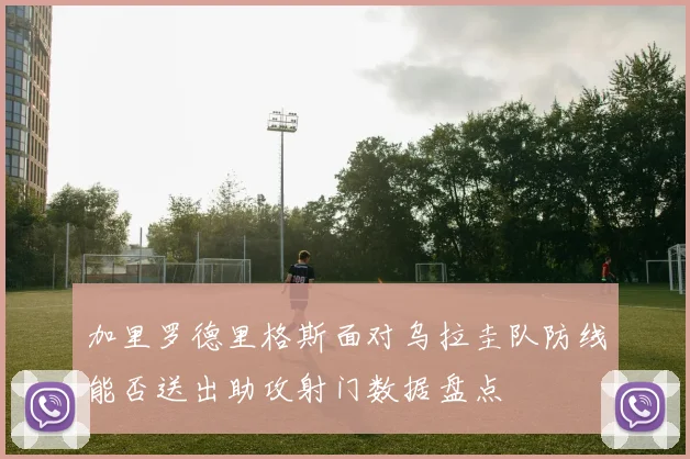 加里罗德里格斯面对乌拉圭队防线能否送出助攻射门数据盘点